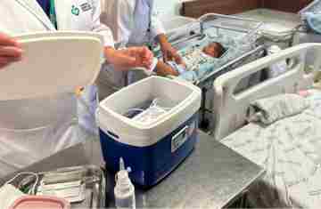 Nirsevimabe já protege 1,1 mil bebês prematuros contra infecções respiratórias